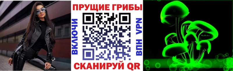 Галлюциногенные грибы мицелий  Купить закладки  Похвистнево 